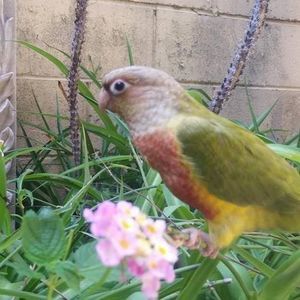 Meet your Posher, Debbie